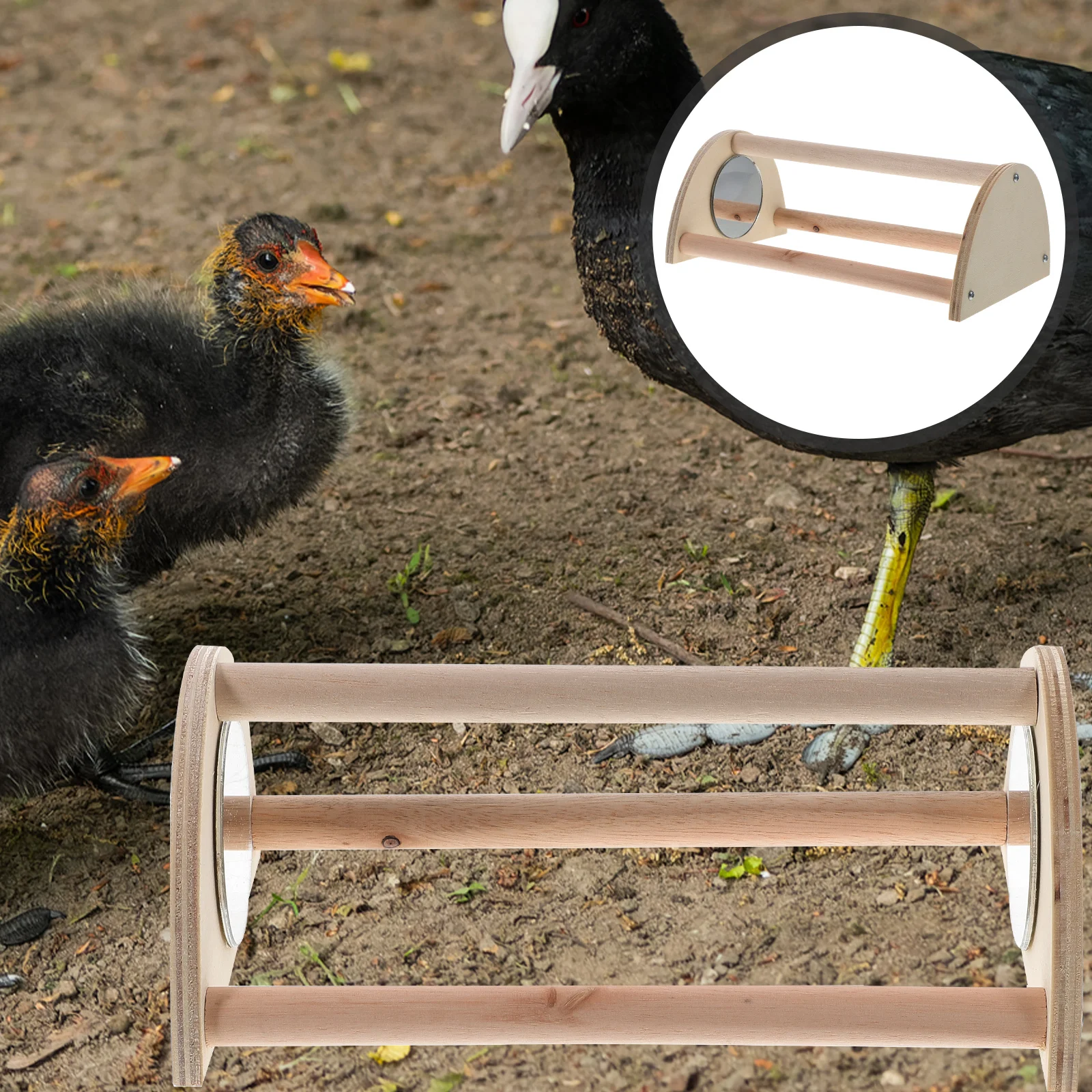 

Wooden Chick Roosting Stand Smooth Surface for Comfortable Rest Durable Construction Chicken Perch Brooder Standing Bar