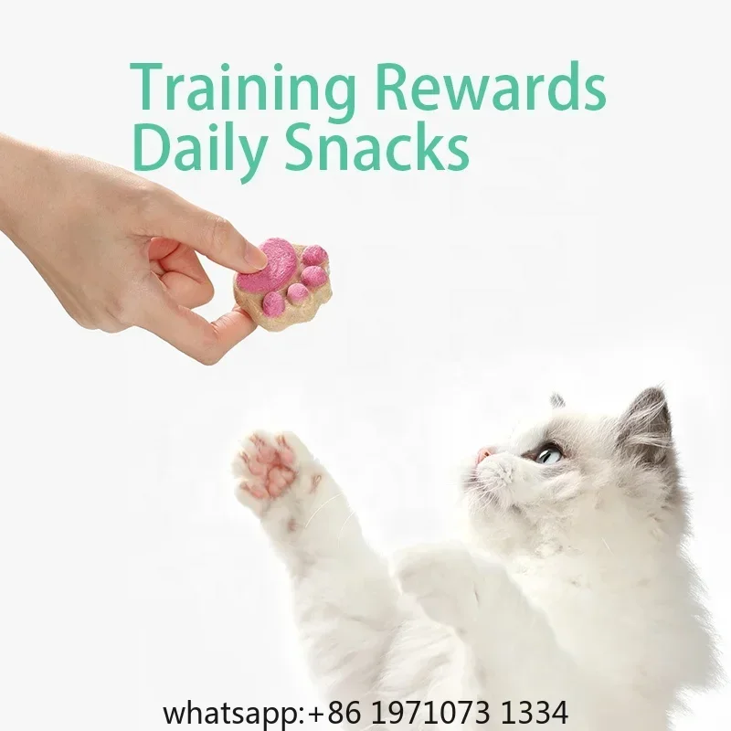 Cat Freeze Dried Snacks High Protein Chicken Fruits and Vegetables Freeze Dried Food for Pet