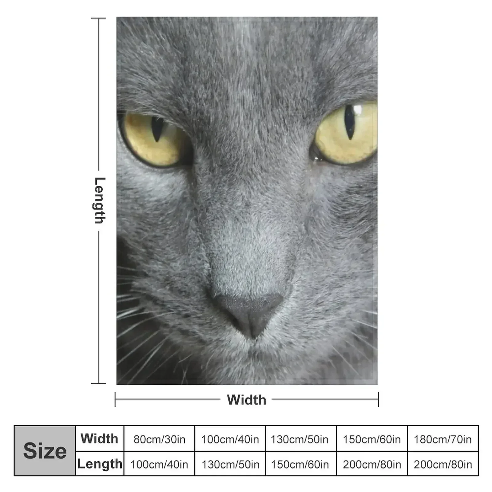 Russian Blue Cat Throw Blanket couch cozy soft plush fuzzy picnic outdoor blanket