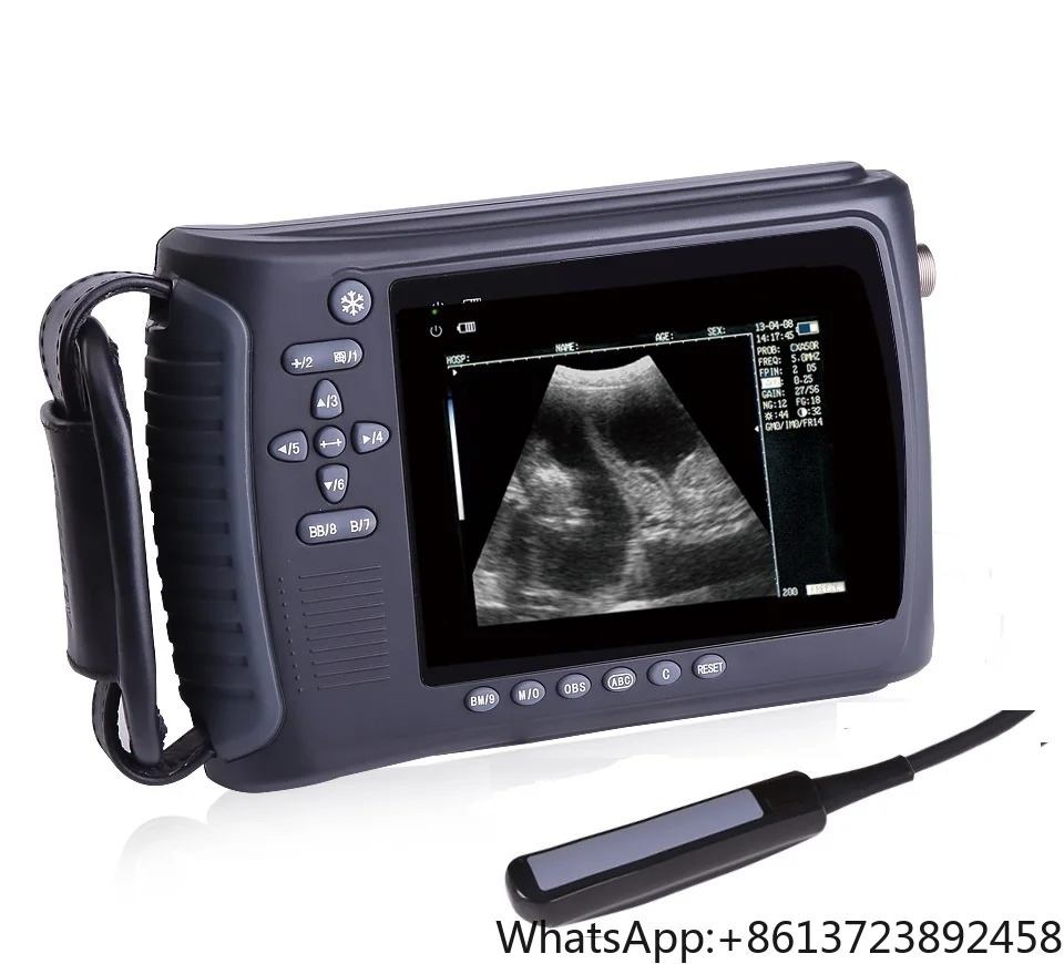 

PL3108V Handheld Portable Ultrasound for Animal Digital Handheld Portable Veterinary Ultrasound Scanner