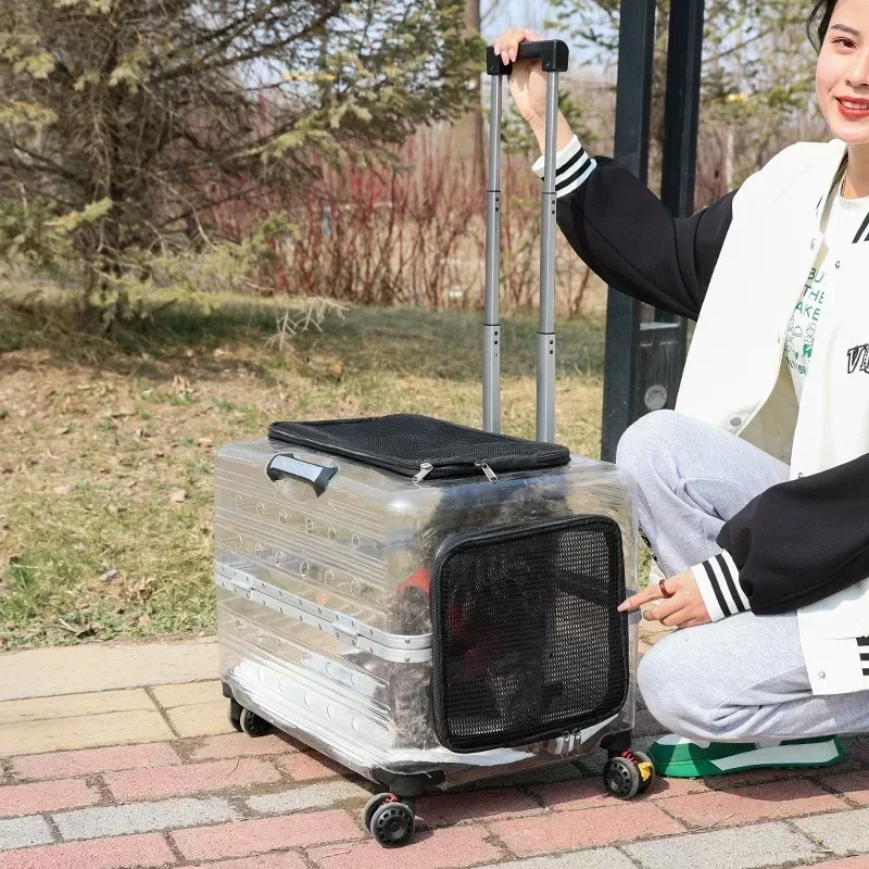 Cat Backpack Pet Carrier Cat Transport Bag Small Animal Carrier Draw-bar Box Large Capacity Out-box Transparent Cat Travel Bag