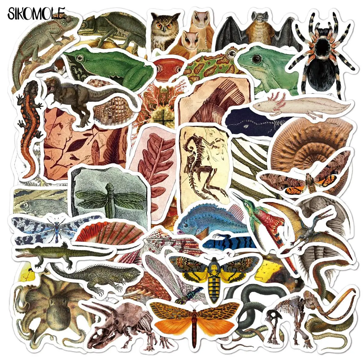 10/30/50Pcs Retro Animal Dinosaur Fossil Stickers Decals DIY Toy Luggage Laptop Phone Motorcycle Car Graffiti Sticker For Kid F5