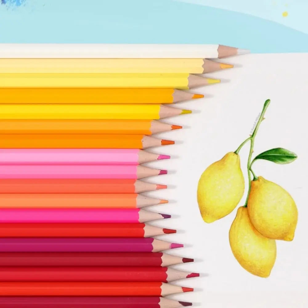 

1 Set 12/18/24/36/48 Colors Painting Pencil Set with Eraser Colored Pencils Stationery Pencil Sketching Oil-based Color Pencils