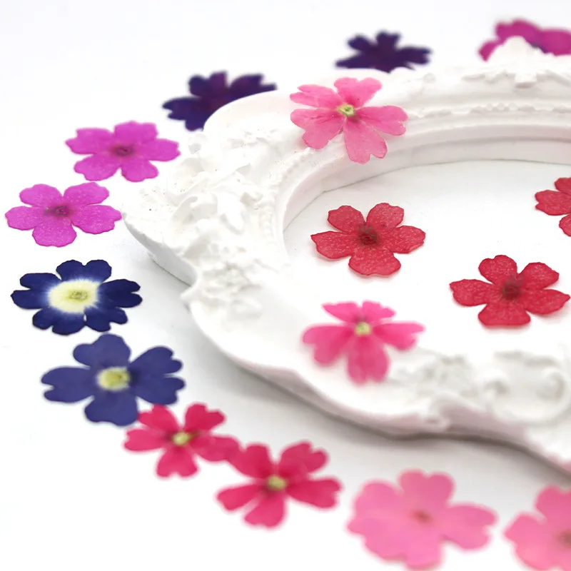 12 Stück, echte getrocknete Blumen, Prägematerialien, DIY-Zubehör für Epoxidharz, für Handyhüllen, Nagelkunst, Gesichtsaufkleber, handgefertigte Dekoration – Detail 4