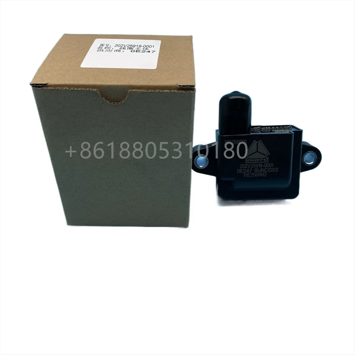 Zündspule für SITRAK MAN CNG-Motor 202V25919-0001 Kompatibel mit Verschiedenen Modellen - Zündmodul für Automobilanwendungen – Detail 4