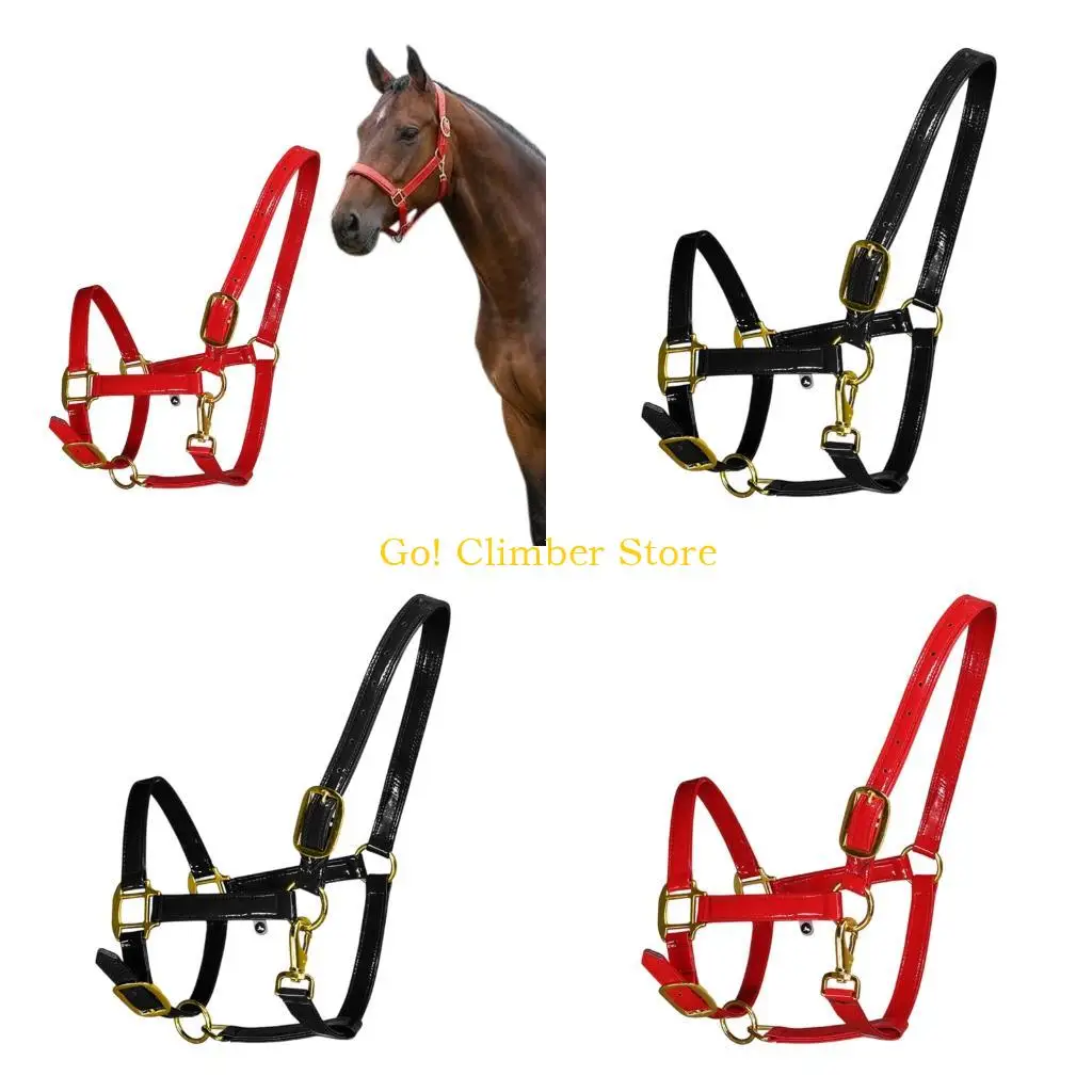 couvre-chef-cheval-dore-elegant-q84c-materiaux-impermeables-pour-une-conduite-presque-meteorologique