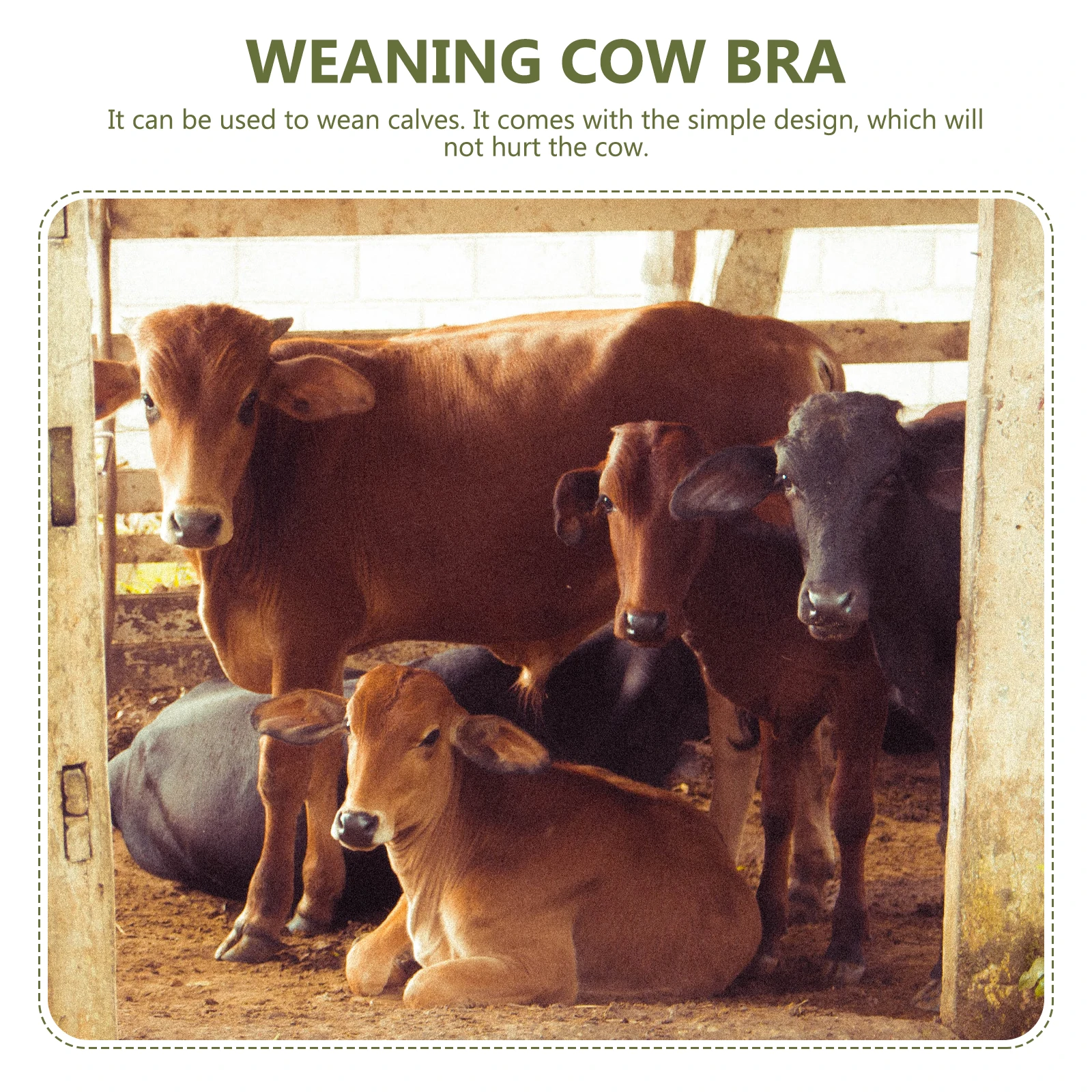 

Cow Breast Cover Durable ABS Lightweight Practical Farm Accessory Livestock Equipment Calf Weaner Plastic Breastfeeding Hood