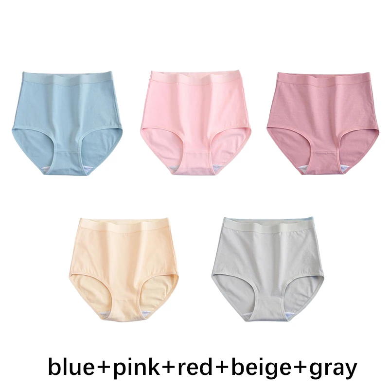 FallSweet 5 Pack Women's Solid Cotton Seamless Briefs, Plus Size Soft Breathable Daily Intimates Lingerie Underwear 072