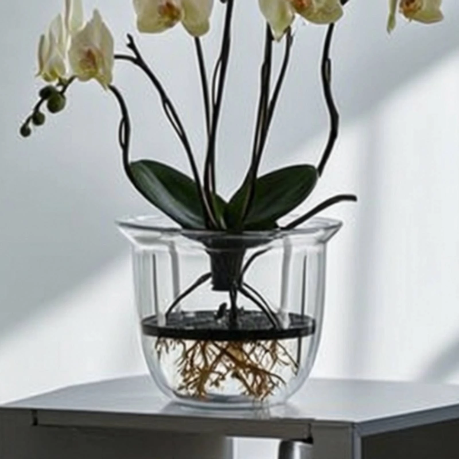 Self-Watering Plant Pot Shatterproof Plant Pot with Self-Watering Structure Flower Planters Pet-Safe Pots Worryunrestricted