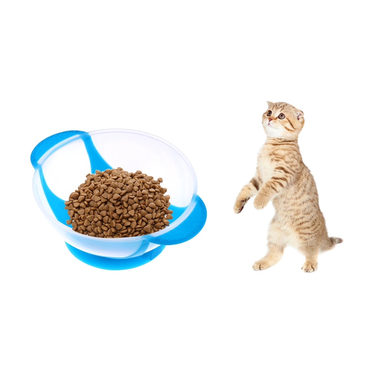 

Anti Skid Bowl Pet Cat Food Bowls Pet Water Bowl Silicone Base Durable PP Material Water Food Puppies Cats Practical