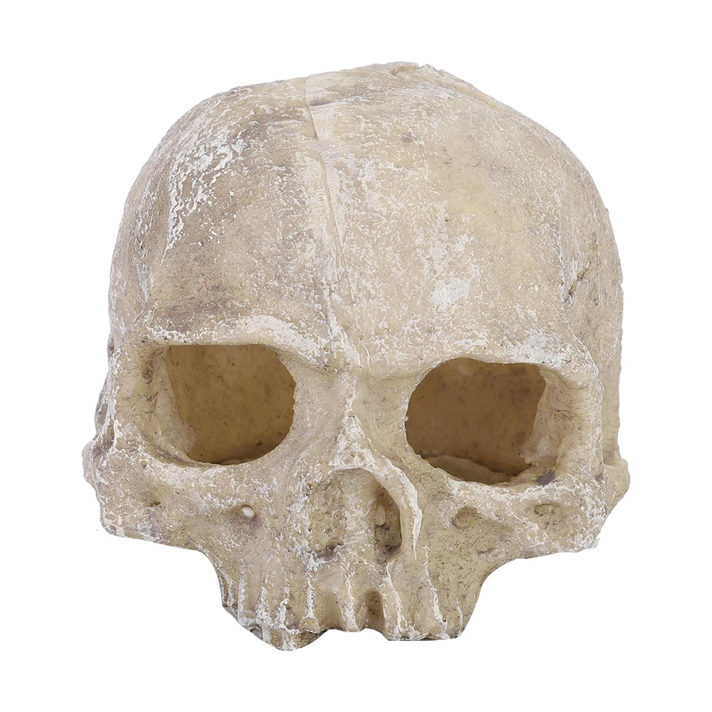 เรซิ่นจําลองหัวกระดูก Skull รู - Aquarium Fish Hide บทวิจารณ์และราคา