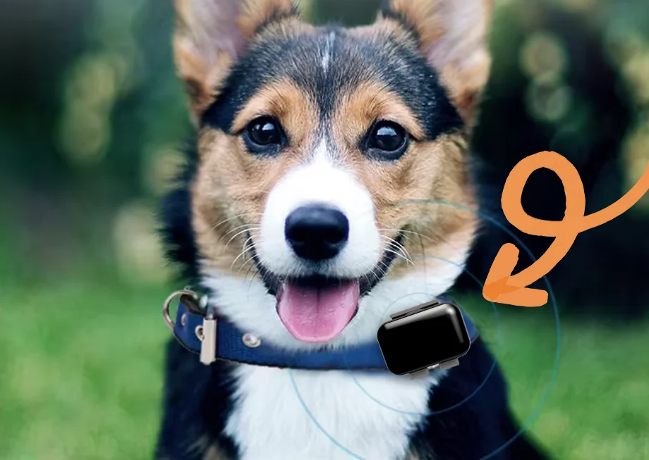 Smart Device Pets Tracker Sound Light Seek Pet Function Comfortable Carrying Collar for Dogs Cats