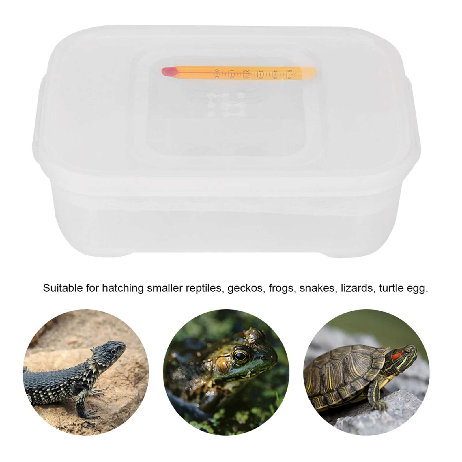Reptiles Eggs Incubator 12 Grids Snakes  Lizards Reptiles Eggs Incubator Tray Hatcher Box with Thermometer