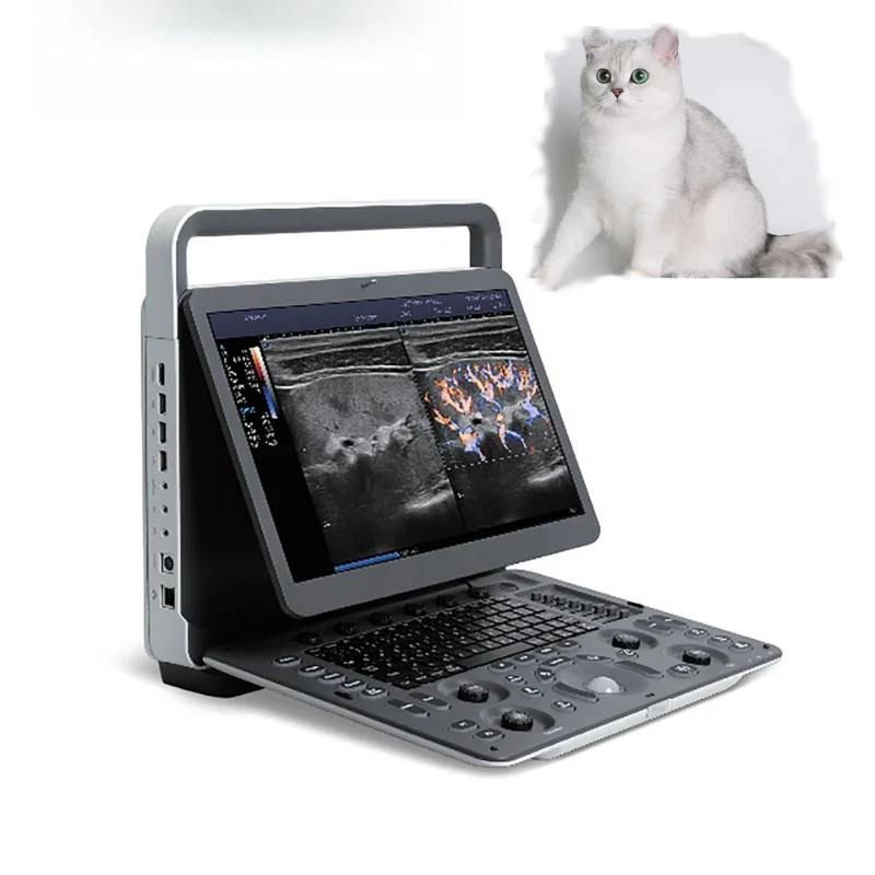 Cross-border export of 15.6 E2V veterinary B-ultrasound machine