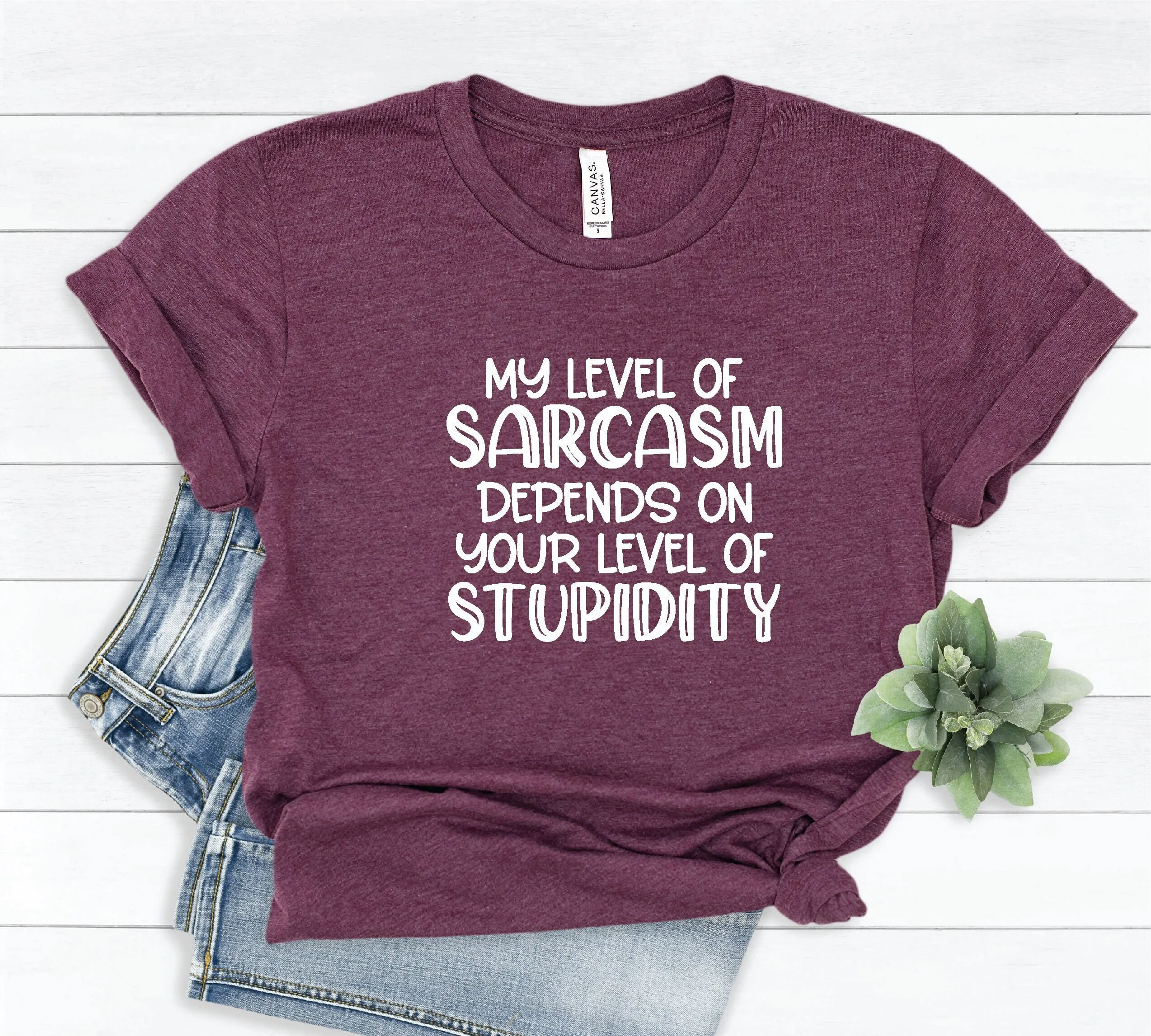 My Level Of Sarcasm Depends On Your Stupidity T Shirt Sarcastic Funny Introvert Tee