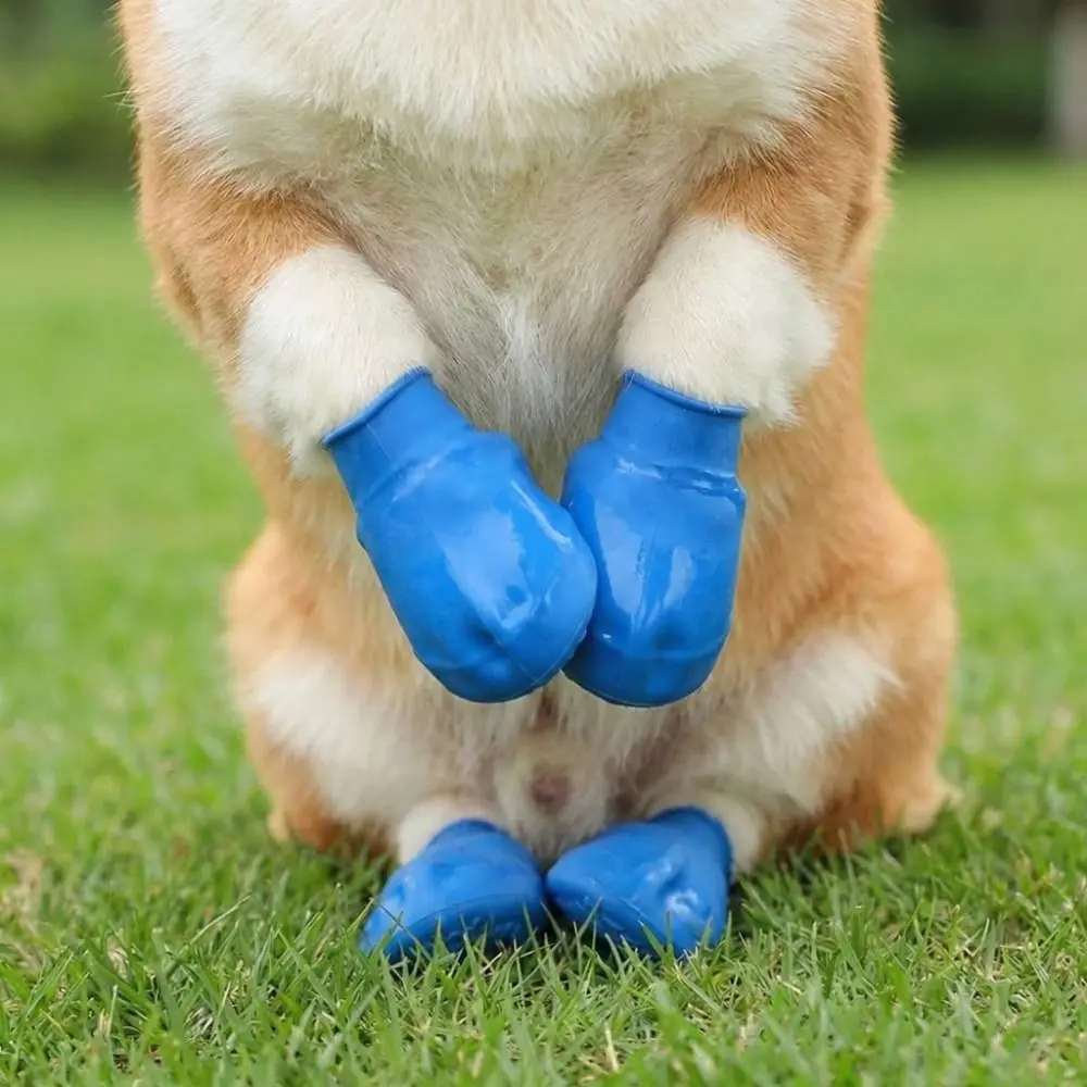 

Anti Slip Pet Balloon Rain Shoes Elastic Latex Waterproof Dog Foot Cover Comfortable Soft Bottom Pet Footwear Outdoor Use