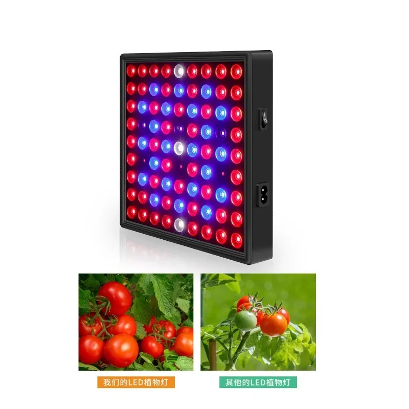 Luz LED de espectro completo para cultivo de plantas, lámpara hidropónica de 220V y 110V, lámparas Fito para invernadero, caja de iluminación para crecimiento de flores, 4000W y 5000W