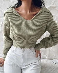 2023 Autumn Winter Spring New Fashion Casual Elegant Turn Down Collar Crop Knit Sweater Female Clothing T-Shirts Pullover Tops