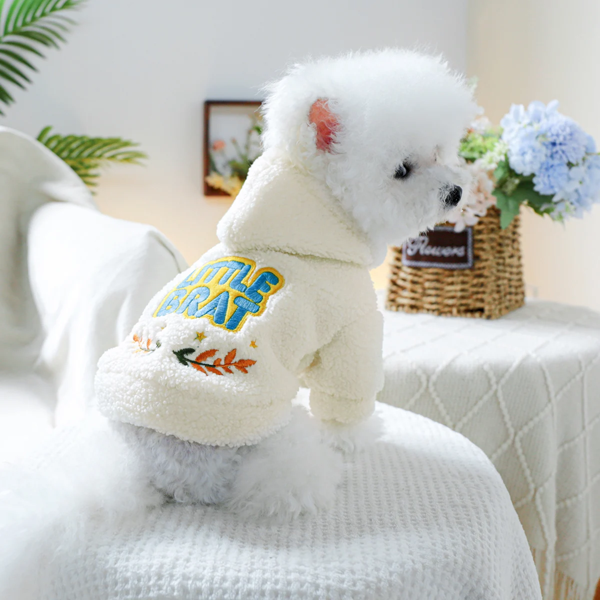 1PC Pet Clothing Autumn/Winter White Velvet Thick Little Guy Hat Coat Suitable for Small and Medium sized Dogs