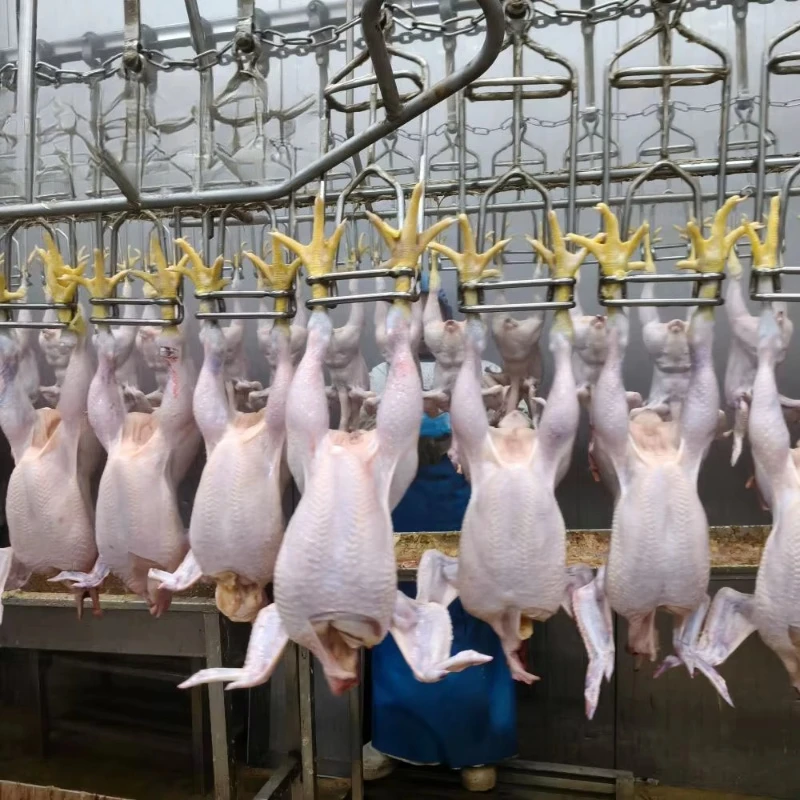 Customized Poultry Slaughter Line With Feet Cutting Machine Automatic Poultry Claw Cutting Equipment For Processing Line