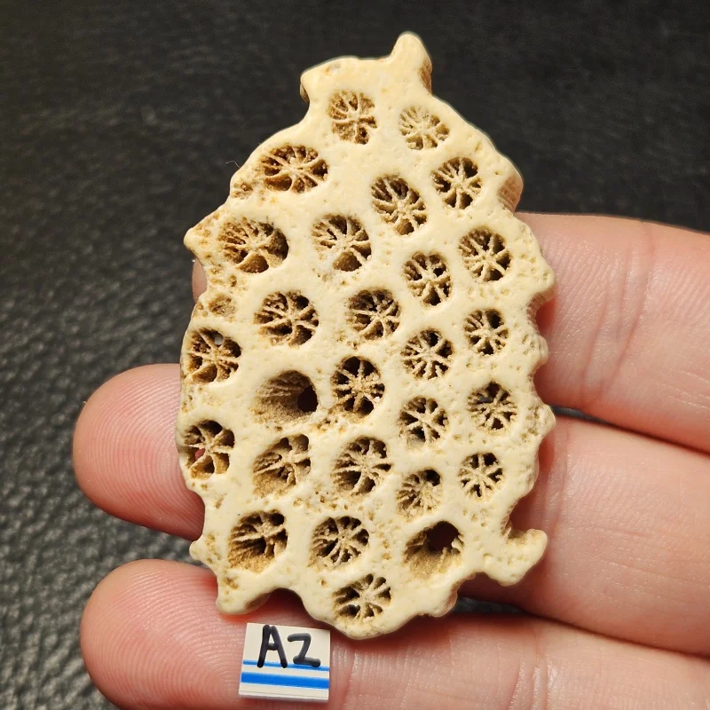 

Natural Hole Chrysanthemum Stone Mineral Specimen Energy Witchcraft Gemstone Spiritual Energy Crystal Healing Aquarium Decoratio