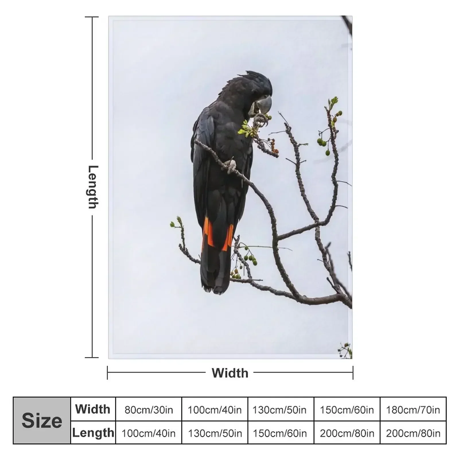 Animal Collection - Black Cockatoo Red Tail Throw Blanket
