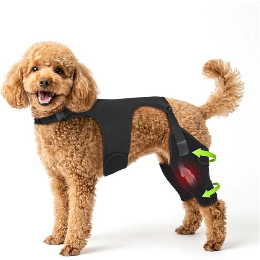 New Arrival Dog Knee Brace for Hind Legs ACL Support - Adjustable Double Leg Brace,Hip Support to Reduces Pain, Puppy Rear Legs
