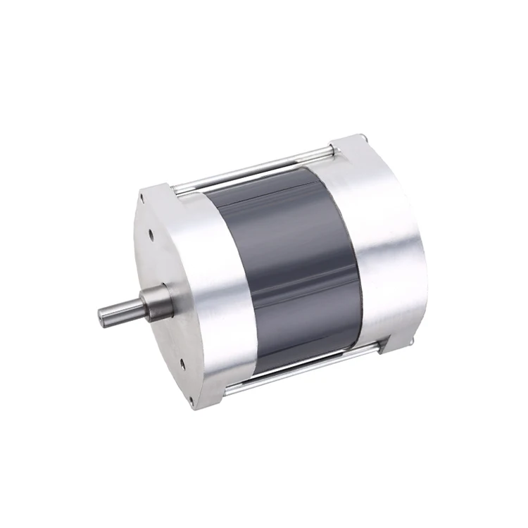 Customizable Weak Vibration Brushless DC Motor Oval shell 24v 325W BLDC For DIY Toys Hobbies Small Car