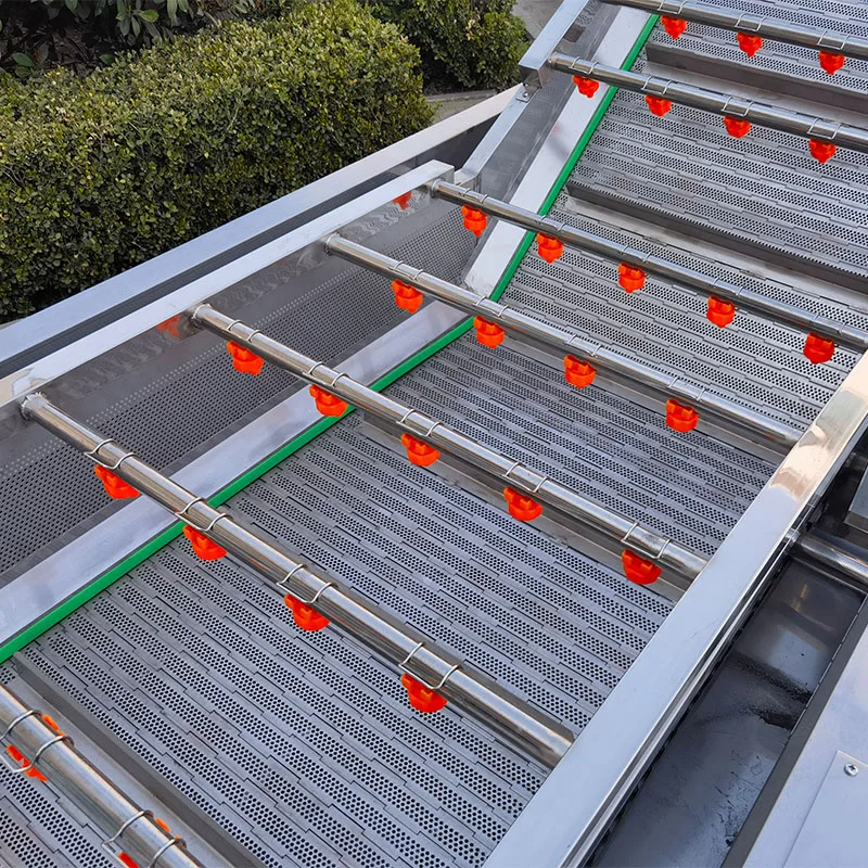 معدات تنظيف الفواكه والخضروات، معدات تنظيف الفقاعات التجارية، معدات تنظيف البصل #3