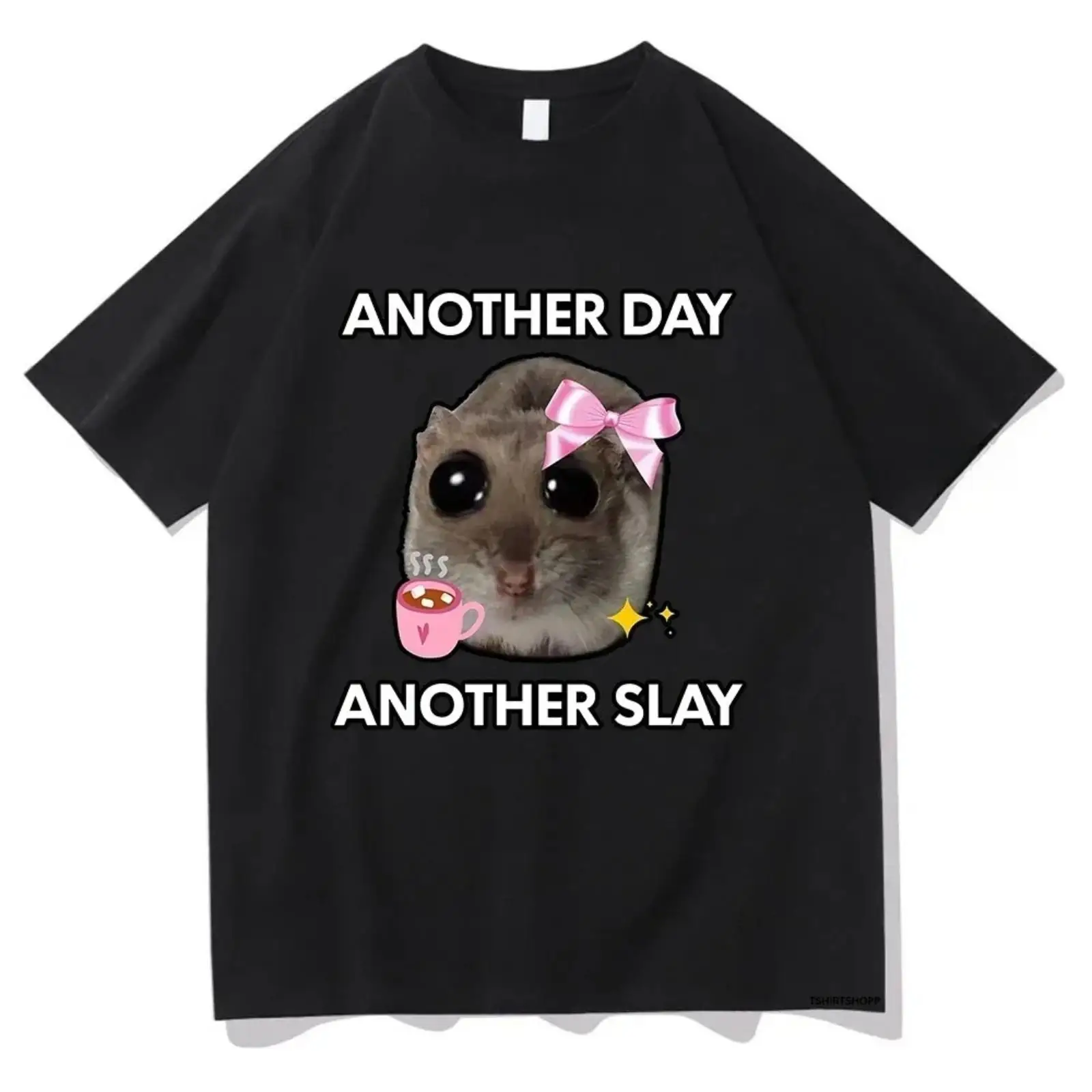 

Funny Hamster T-shirt Another Day Another Slay Graphic Tee Cute Animal Meme Tops Sarcastic Humor Gifts