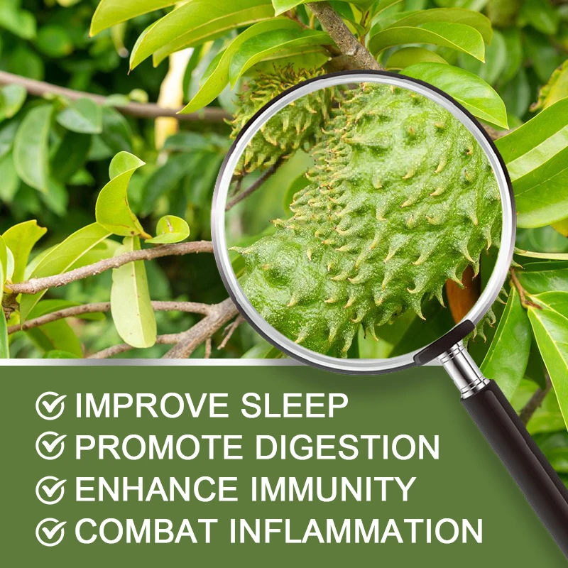 Soursop Graviola Capsules 1950mg for Powerful Antioxidant Promote Digestion & Cellular Health Strengthen Immunity