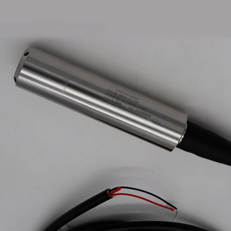 High Quality 0-10V 4-20mA Analog Output Water Level Sensor for Tank River Pool