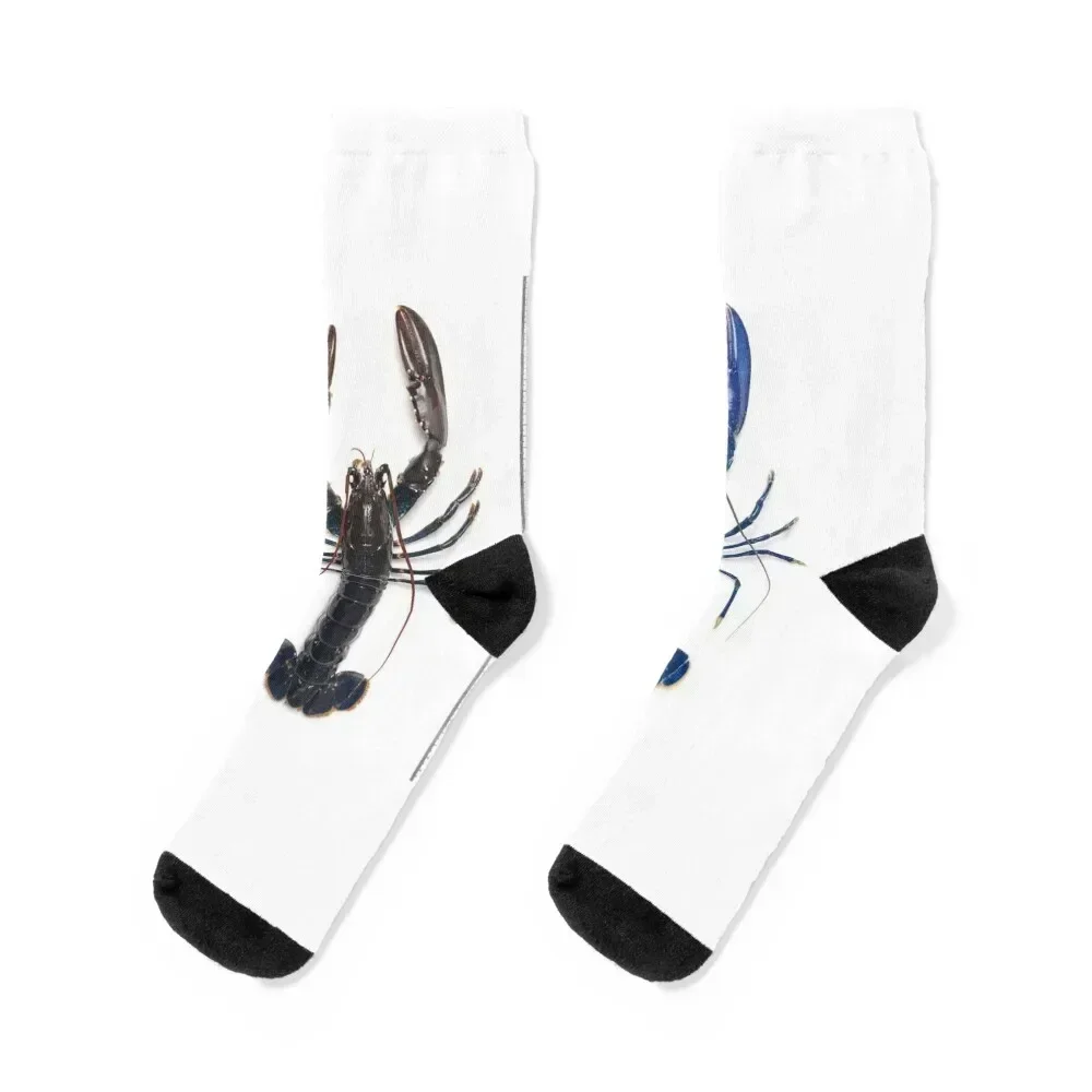 Electric-blue European lobster (C022/7737) Socks cotton Toe sports new year New year's Man Socks Women's