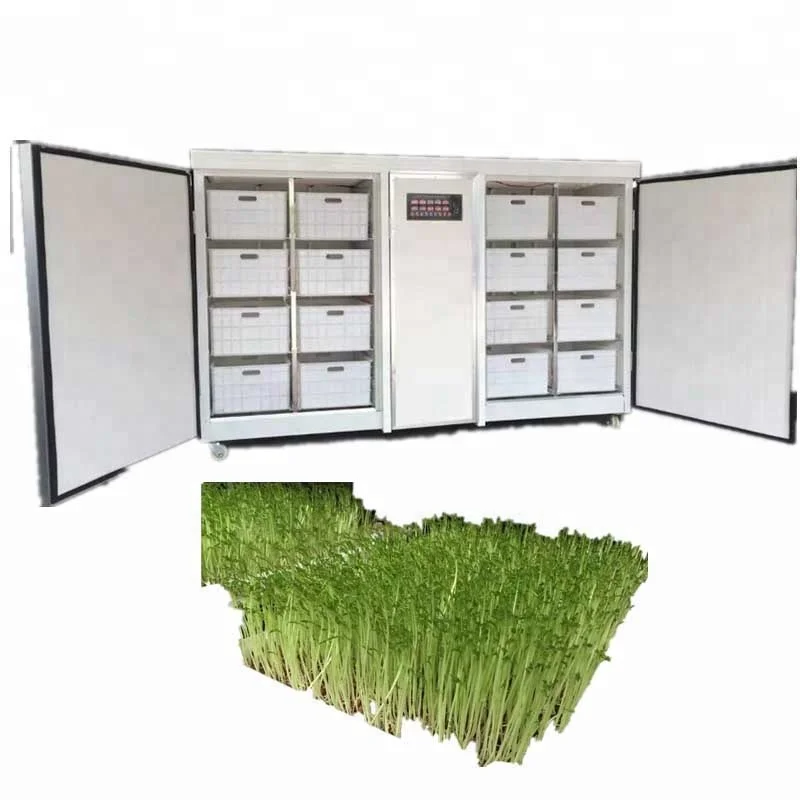 Fodder System Animal Hydroponic Fodder Machine voor groene voermachine