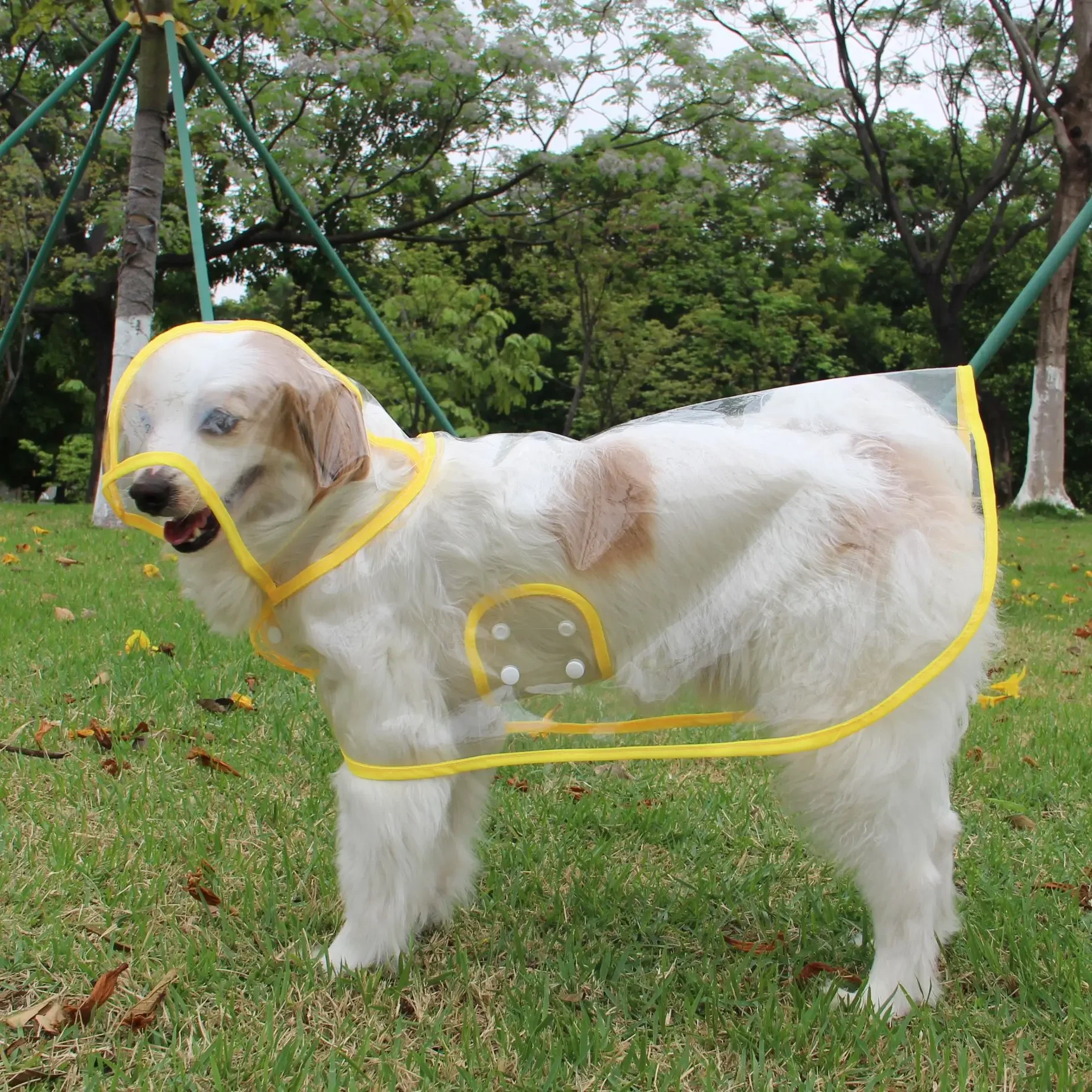 Capa de chuva transparente para cachorro, roupa de chuva transparente com capuz para animais de estimação, jaqueta macia de pvc para cães pequenos, poncho de chuva para cachorro