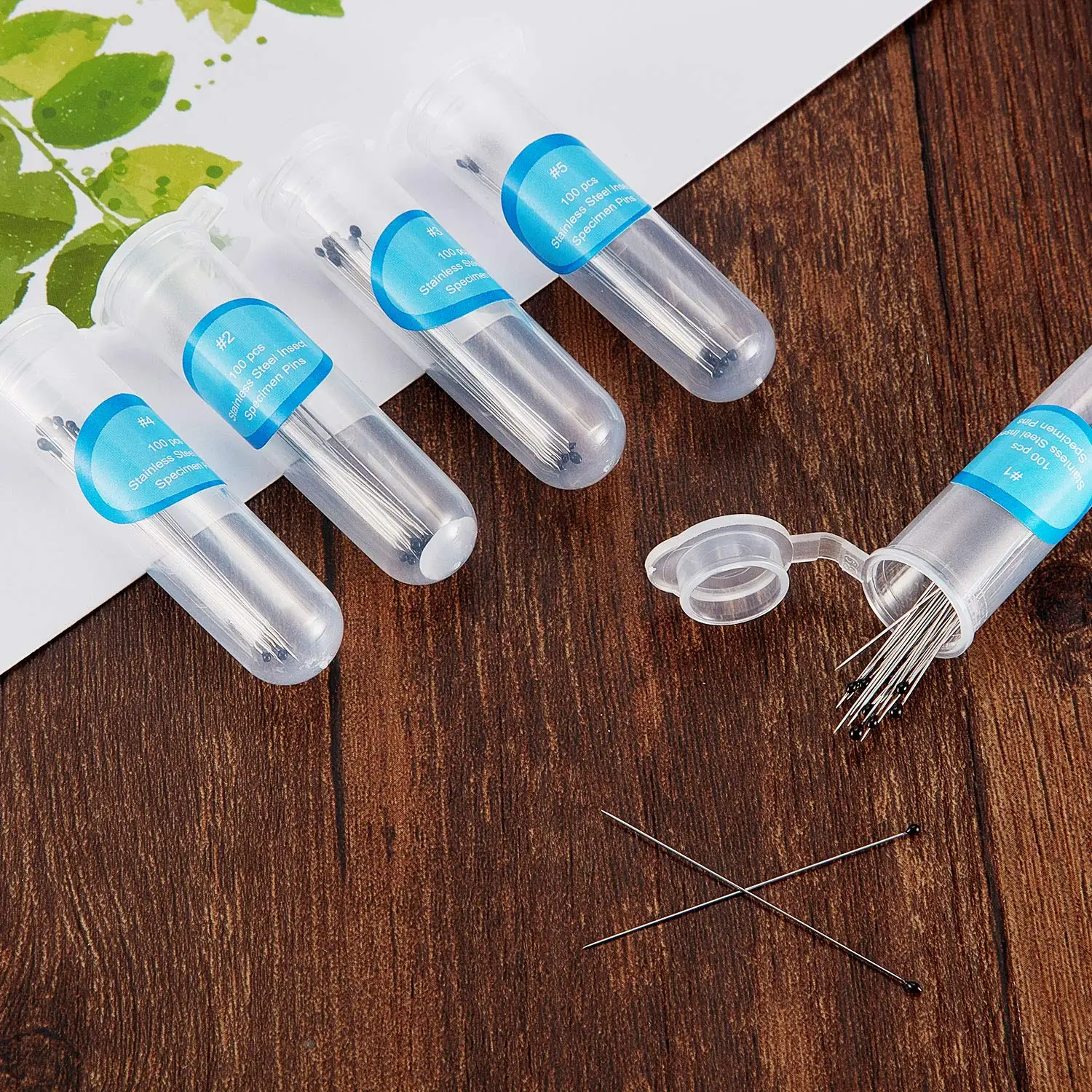 200Pcs Stainless Steel Insect Pins Kit Specimen Entomology Pins Butterfly Collections Variety Pack for School Entomology