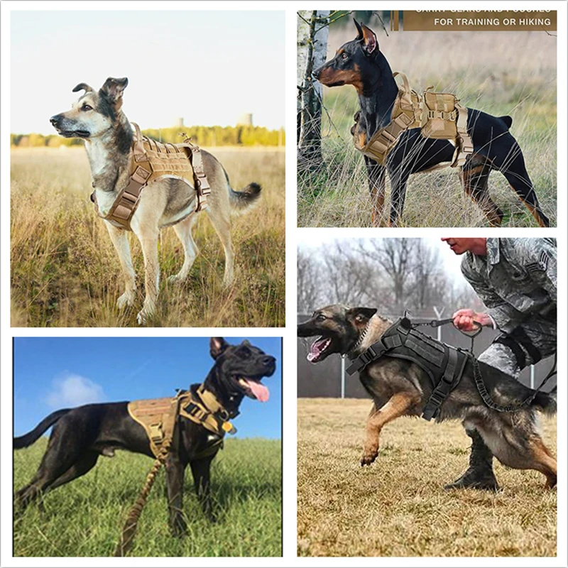 Taktische Militärweste für Haustiere, Outdoor-Trainingsweste, Hundegeschirr und Leine, Set mit Halsband für mittelgroße und große Hunde, Deutscher Schäferhund – Detail 36