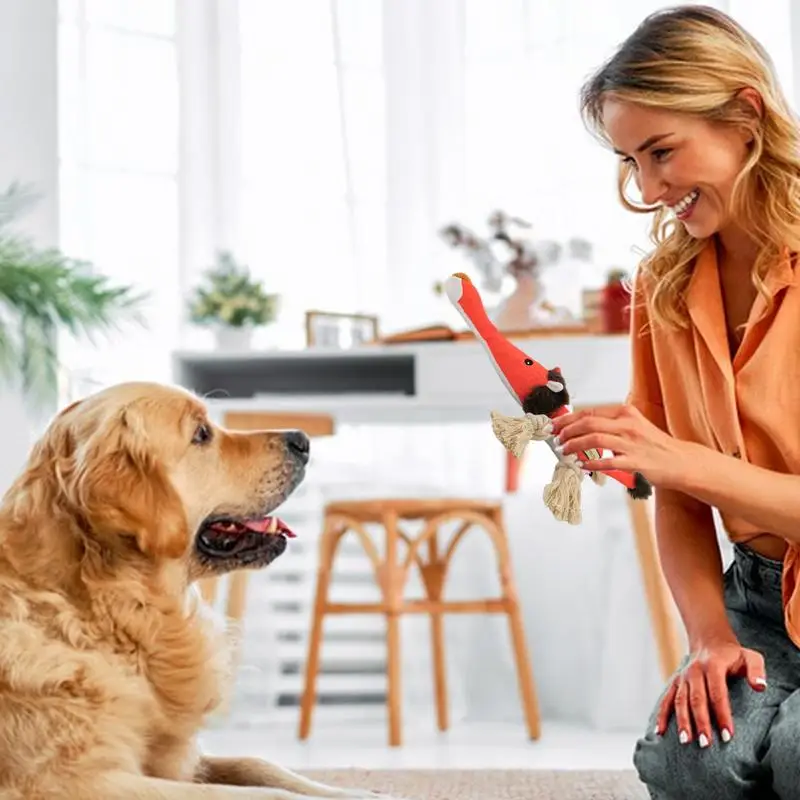 Juguetes de peluche para perros con chirriantes, nudo de cuerda de algodón, resistente a las mordeduras, interactivo para masticar, Limpieza de dientes