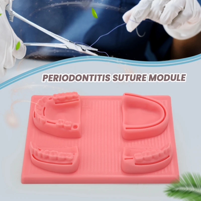 Suture Practice Kit Suture Practice Kit Students And Veterinary Student Suturing Pad,Training Kit