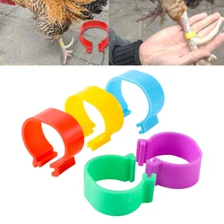 Inner Diameter 20mm Chicken Foot Ring Without Text Label Multi-Color Buckle Type Duck Goose Pigeon Quail Bird Poultry Ring 50Pcs