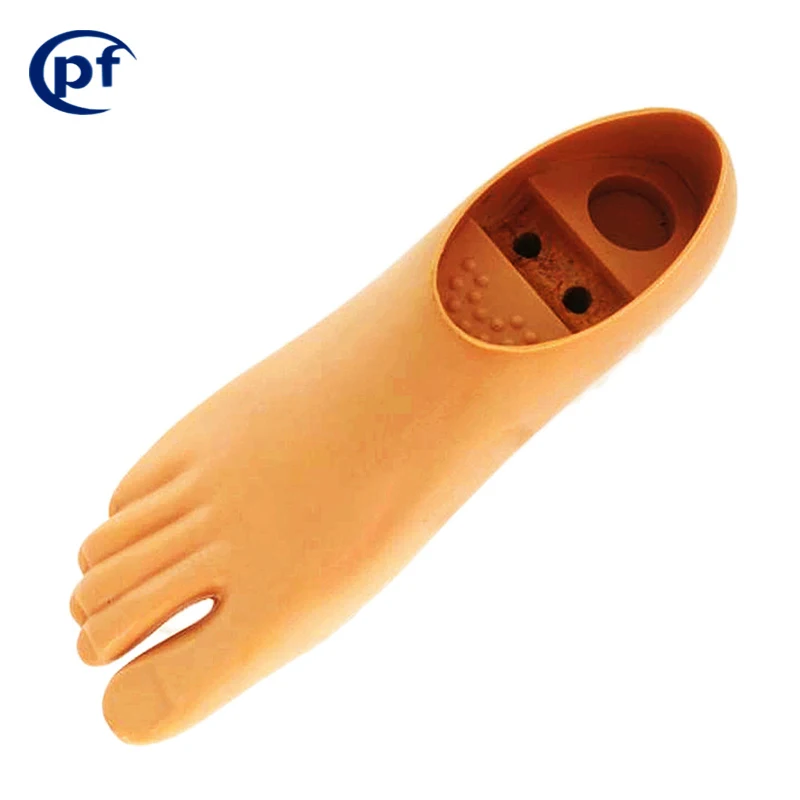 Artificial Prosthetic Foot Have Toes,Single/Double Axis Foot Polyurethane  Implantable Artificial Organs Single/Double axis foot