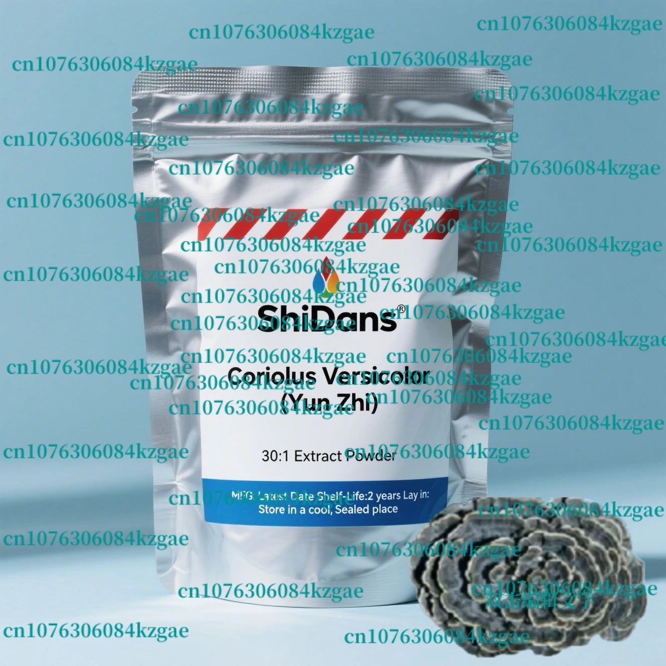 

Индивидуальный экстракт индейского хвоста Yunzhi 30:1, пропорционная упаковка, оптовая упаковка, сумка из алюминиевой фольги