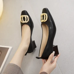 2024 New Spring Women's Single Shoes Pointed Toe Low Heel French Style Thick Heel Professional Elegant Low Heels Work Shoes