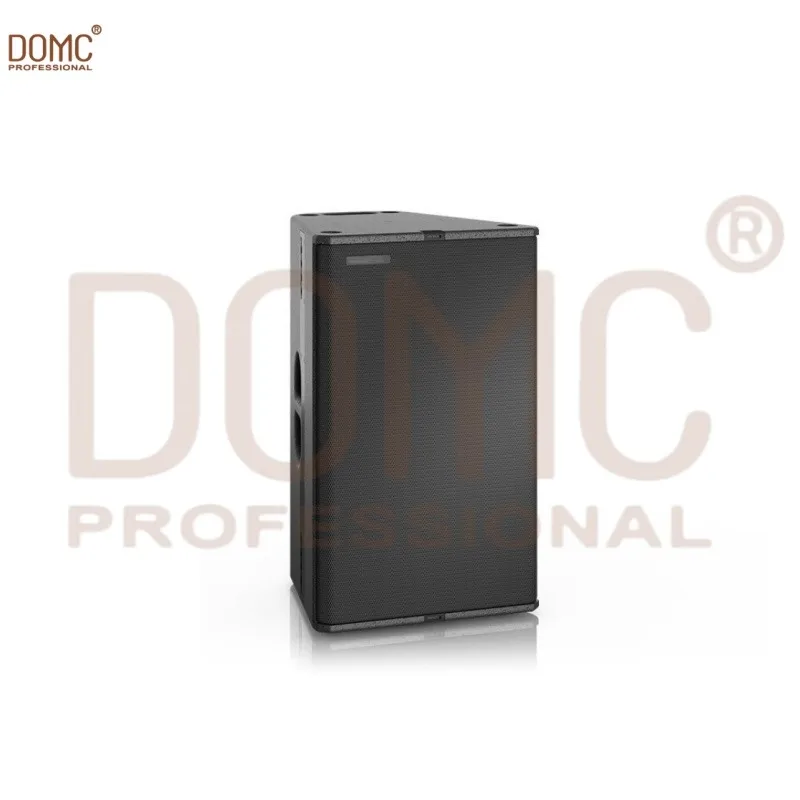 

Domc T24n Dual 12 Inch Stage-Grade Passive Line Array Speaker System