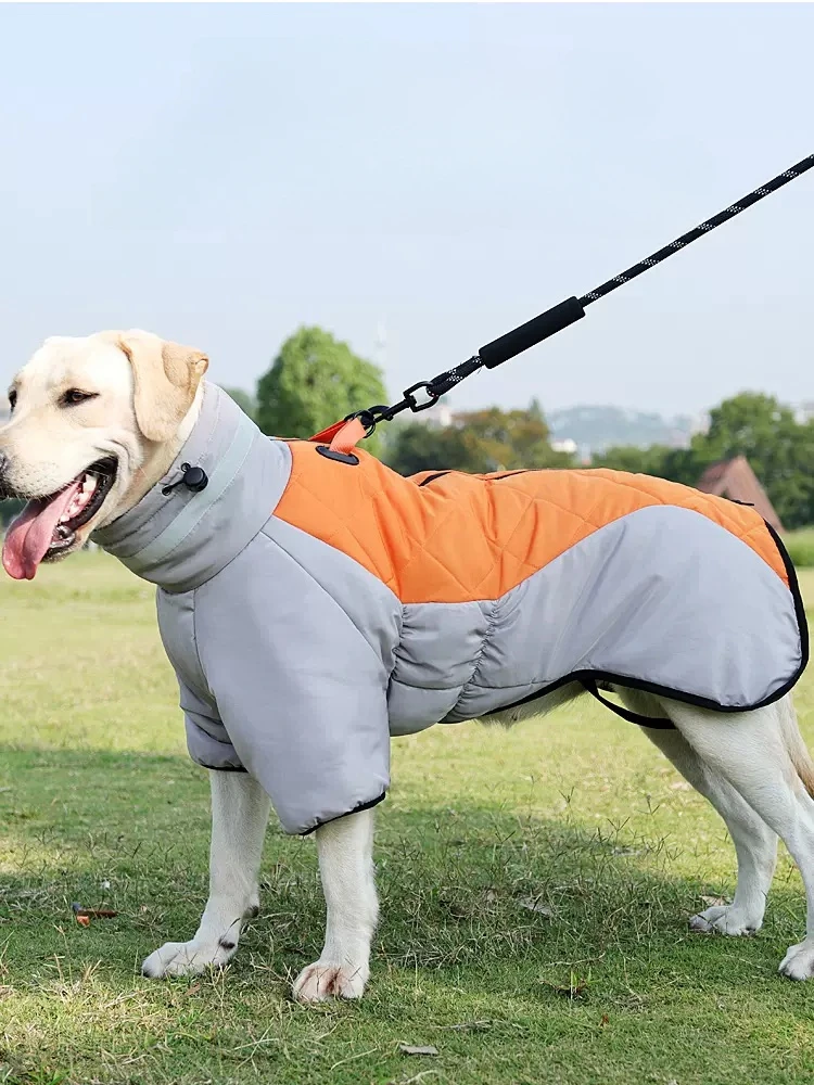 

Dog Clothing Autumn Winter Mid size Large Dog Winter Two Iegged Down Cotton Coat Golden Hair Labrador Pet Winter Wear