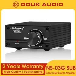 Douk Audio Hi-Fi 100W Mini TPA3116D2 Subwoofer / Full Frequency Power Amplifier Mono Channel Digital Audio Amp