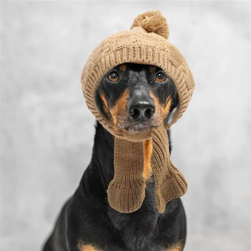 Knitted Dog Winter Hat With Scarf Warm Dog Cap Knit Scarf Dog Small Hat Warm Pet Winter Hat Pet Dress Headdress Pet Headgear