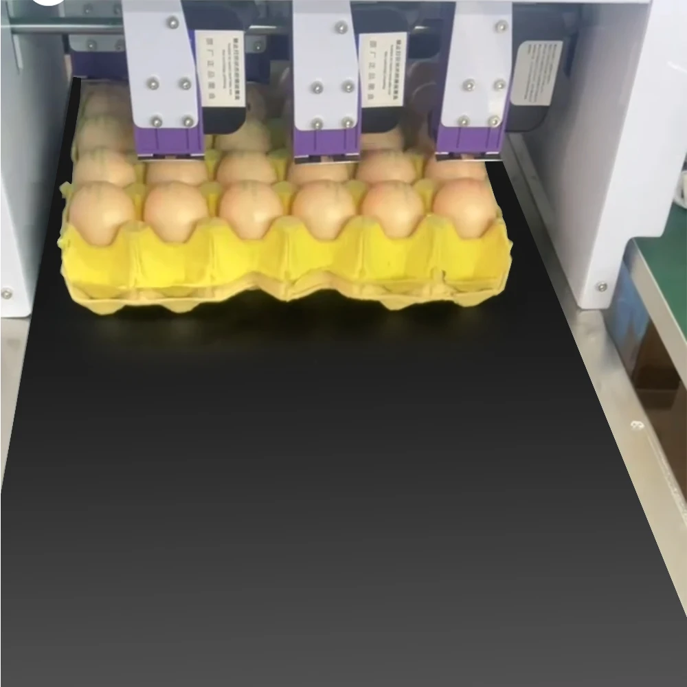 EP6 Six Heads Industry Egg Inkjet Printers Label Expiry Date Stamp Logo Barcode Food Grade Auto Printing Coding Machine On Eggs - view 6