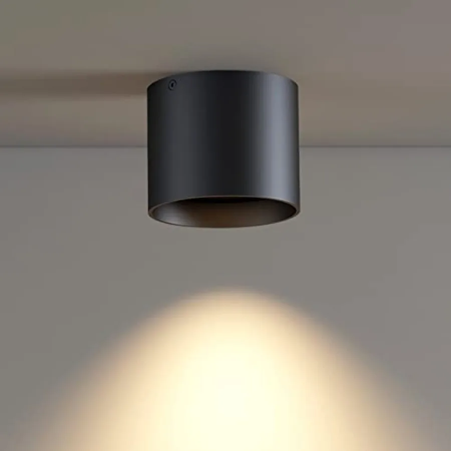 

Ceiling Light Fixture Flush Mount Ceiling Lights LED Dimmable Cylinder Ceiling Light Spot Light for Living Room Hallway Kitchen