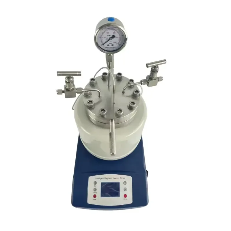 Flange Closure Lab Pressure Reactor High Pressure Autoclave Reactor Magnetic Stirring Hydrothermal Synthesis Magnetic Stirred